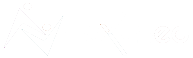 Nexus Education Consulting Logo - Dissertation Coaching